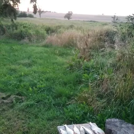 住宿加早餐酒店 Dworek Natury 3*