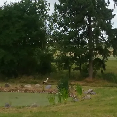 Dworek Natury 住宿加早餐酒店