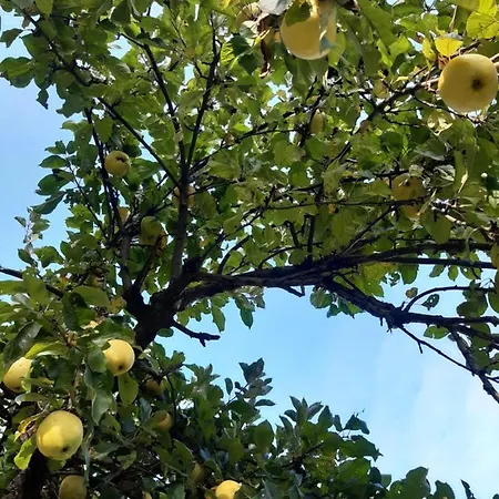 住宿加早餐酒店 Dworek Natury