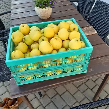 Dworek Natury Nocleg ze śniadaniem Strzezenice