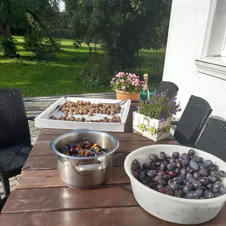 住宿加早餐酒店 Dworek Natury 3*