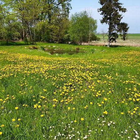 住宿加早餐酒店 Dworek Natury
