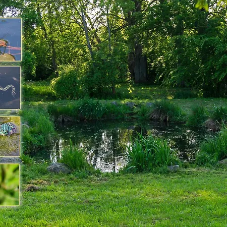 住宿加早餐酒店 Dworek Natury 3*