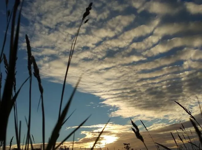 Bed & Breakfast Dworek Natury Strzezenice