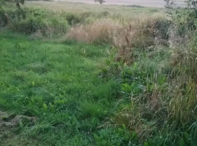 Bed & Breakfast Dworek Natury 3*