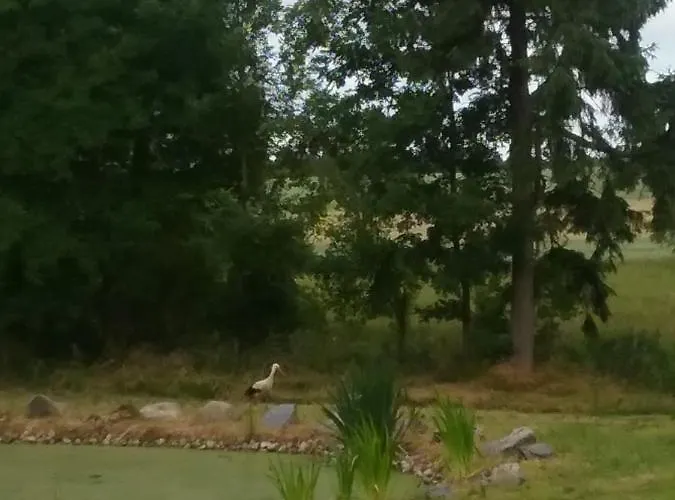 Dworek Natury Bed & Breakfast