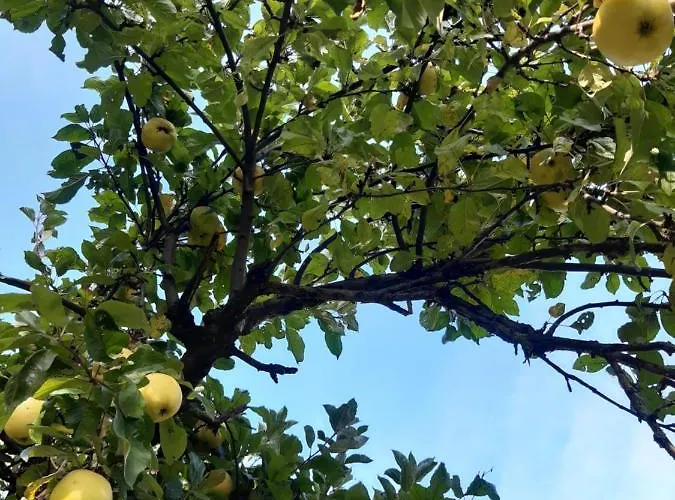 Bed & Breakfast Dworek Natury