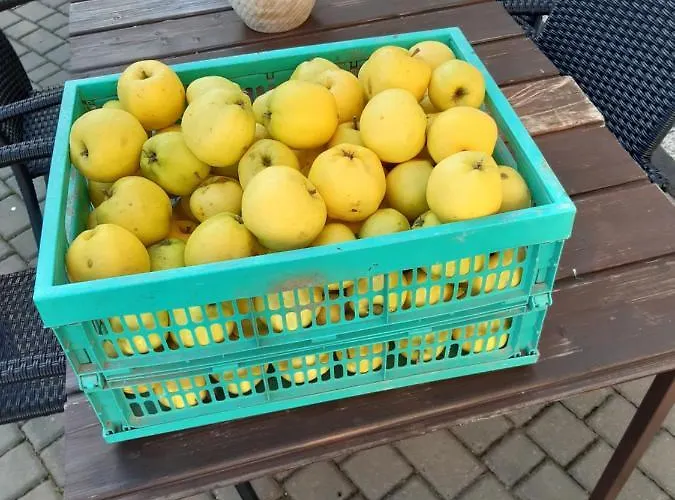 Dworek Natury Bed & Breakfast Strzezenice