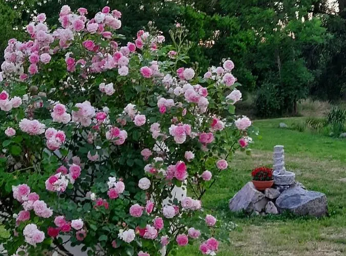 Dworek Natury 3* Strzezenice