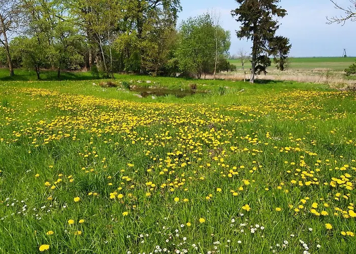 Bed & Breakfast Dworek Natury
