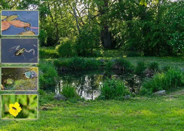 Bed & Breakfast Dworek Natury 3*